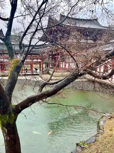 平等院(京都府)