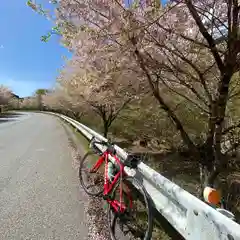 古峯神社の自然