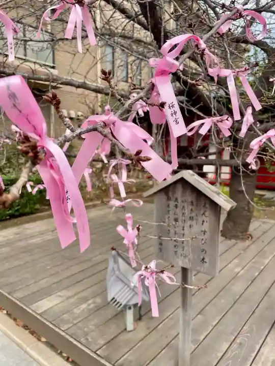 桜神宮の{uncategorized: "未分類", other: "その他", undefined: "問題あり", building: "その他建物", grave: "お墓", sacred_gate: "鳥居", guardian: "狛犬", statue: "像", buddha: "仏像", history: "歴史", nature: "自然", garden: "庭園", animal: "動物", pagoda: "塔", temizu: "手水舎", mountain_gate: "山門・神門", sanctuary: "本殿・本堂", subordinate: "末社・摂社", art: "芸術", scenery: "景色", jizo: "地蔵", ema: "絵馬", goshuin: "御朱印", omikuji: "おみくじ", items: "授与品その他", amulet: "お守り", goshuincho: "御朱印帳", eats: "食事", festival: "お祭り", votive_dance: "神楽", shichigosan: "七五三参", wedding: "結婚式", experience: "体験その他", initially: "初詣", around: "周辺", anti_infection: "感染症対策"}