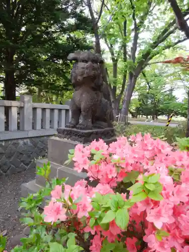 彌彦神社　(伊夜日子神社)の狛犬