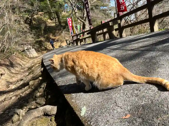 唐澤山神社の動物