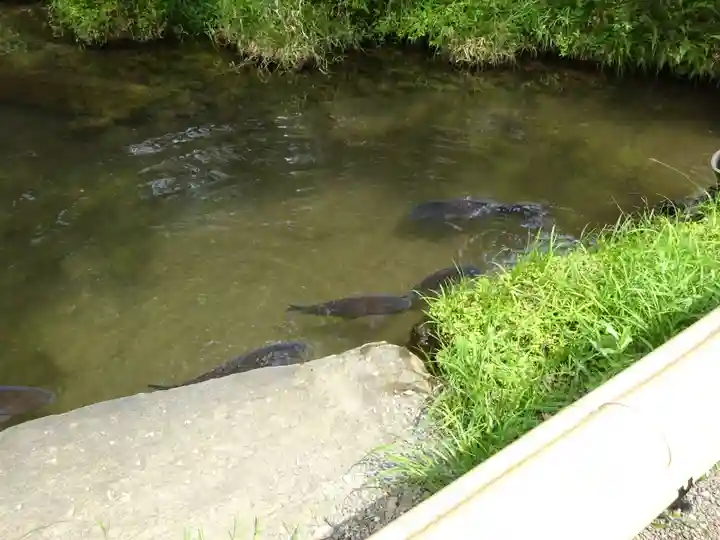 深大寺のその他建物