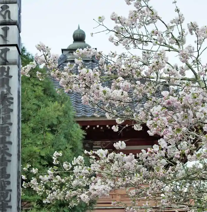 赤堂観音の自然