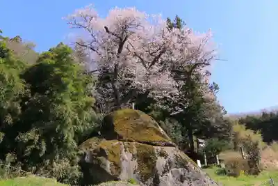 赤岩稲荷神社の自然