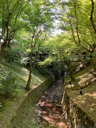 東福禅寺（東福寺）の自然