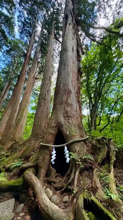 戸隠神社奥社(長野県)