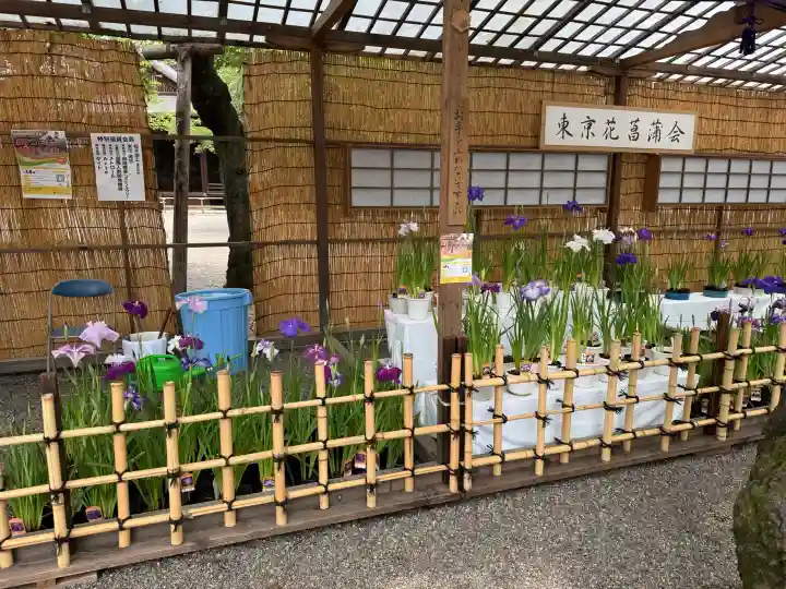 靖國神社(東京都)