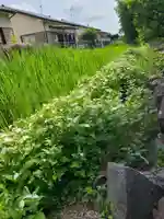 牛嶋天満宮の自然