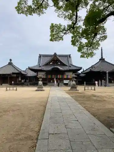 長尾寺の{uncategorized: "未分類", other: "その他", undefined: "問題あり", building: "その他建物", grave: "お墓", sacred_gate: "鳥居", guardian: "狛犬", statue: "像", buddha: "仏像", history: "歴史", nature: "自然", garden: "庭園", animal: "動物", pagoda: "塔", temizu: "手水舎", mountain_gate: "山門・神門", sanctuary: "本殿・本堂", subordinate: "末社・摂社", art: "芸術", scenery: "景色", jizo: "地蔵", ema: "絵馬", goshuin: "御朱印", omikuji: "おみくじ", items: "授与品その他", amulet: "お守り", goshuincho: "御朱印帳", eats: "食事", festival: "お祭り", votive_dance: "神楽", shichigosan: "七五三参", wedding: "結婚式", experience: "体験その他", initially: "初詣", around: "周辺", anti_infection: "感染症対策"}