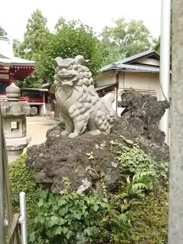 柏諏訪神社の狛犬