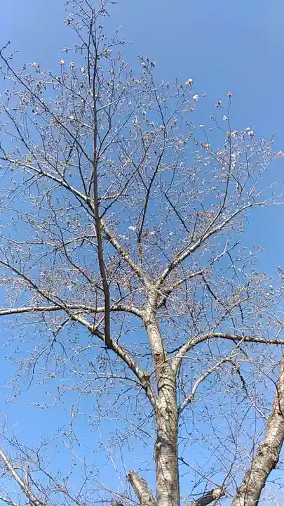 比佐豆知神社(三重県)