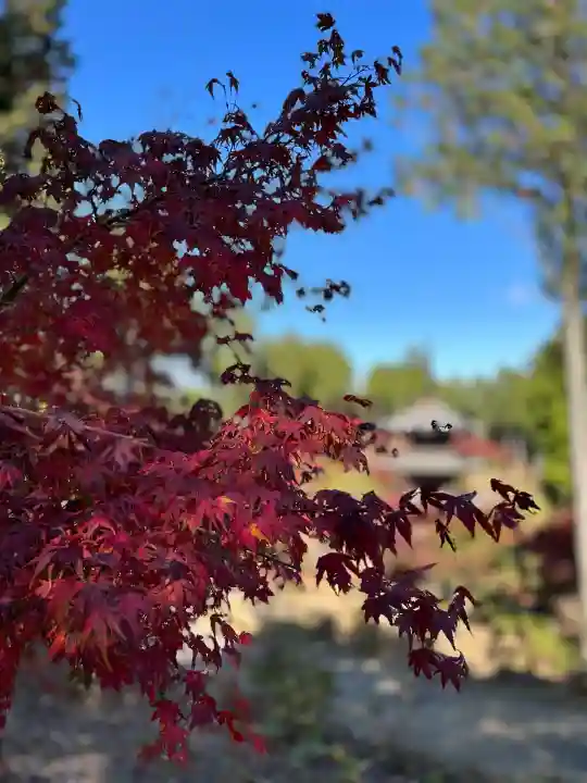 常樂寺(滋賀県)