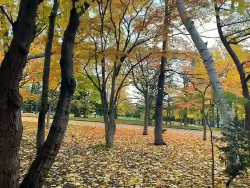 彌彦神社　(伊夜日子神社)の自然