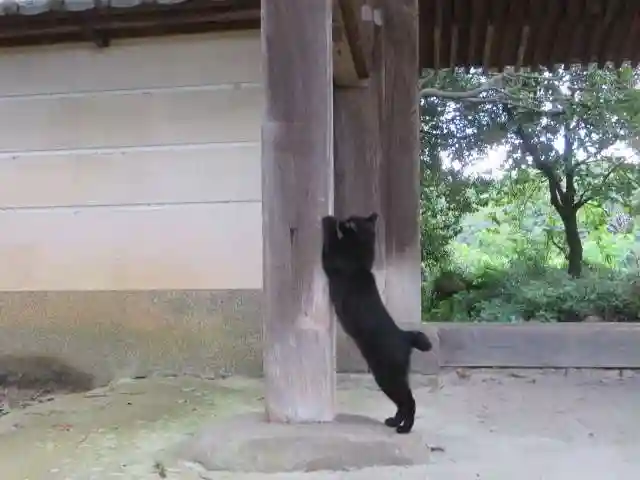長岳寺(奈良県)