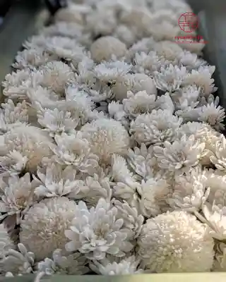 立志神社(滋賀県)