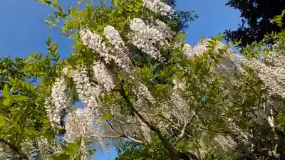 歌泉堂（春日大社神苑萬葉植物園内鎮座）(奈良県)