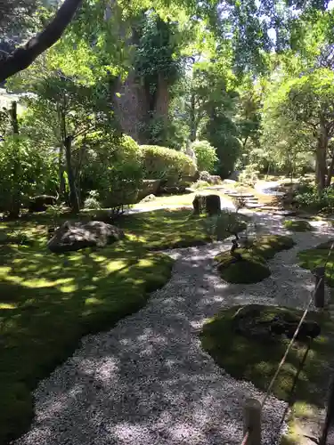 報国寺の庭園