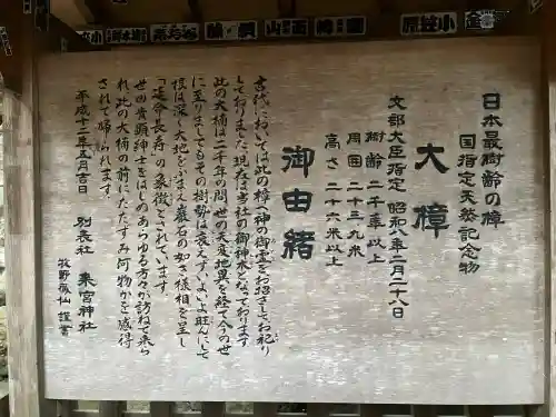 來宮神社(静岡県)