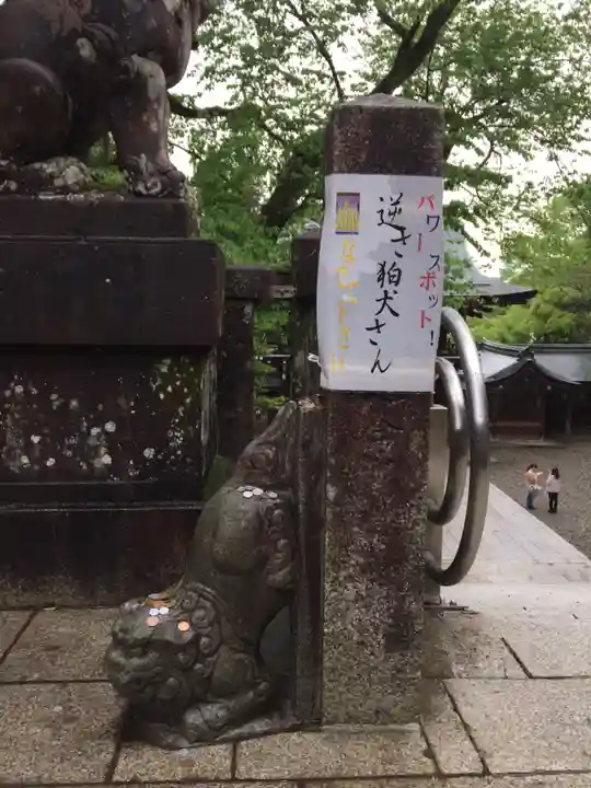 伊奈波神社の狛犬