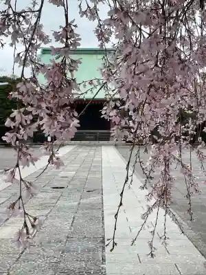吉祥寺(東京都)