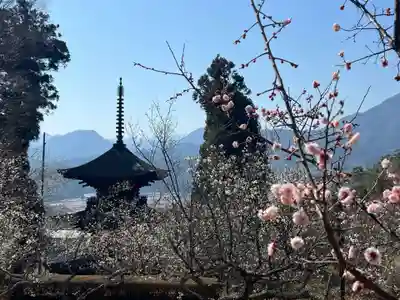 国宝 大法寺(長野県)