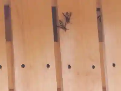 里神神社(和歌山県)