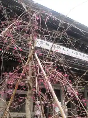 光明寺の山門・神門