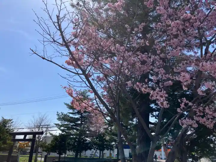 江南神社(北海道)