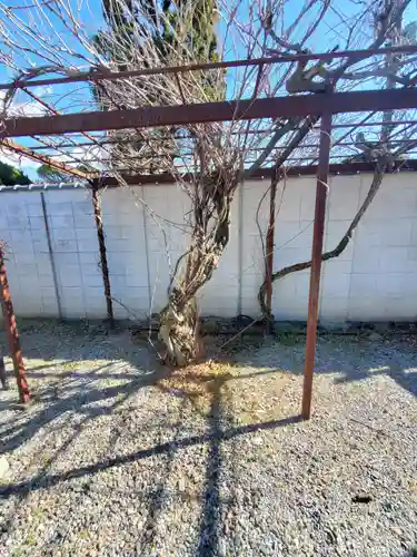 逆藤天満宮(栃木県)