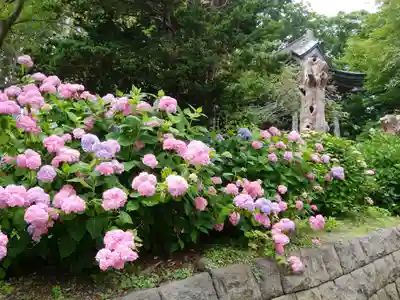 有珠善光寺(北海道)