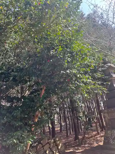 椿ノ海　水神社(千葉県)