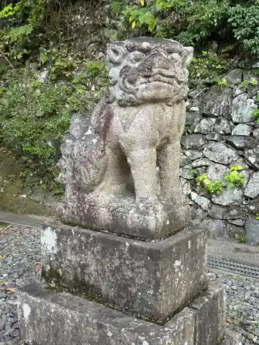 高尾山薬王院の狛犬