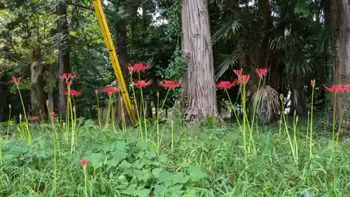 鶴谷八幡宮の自然