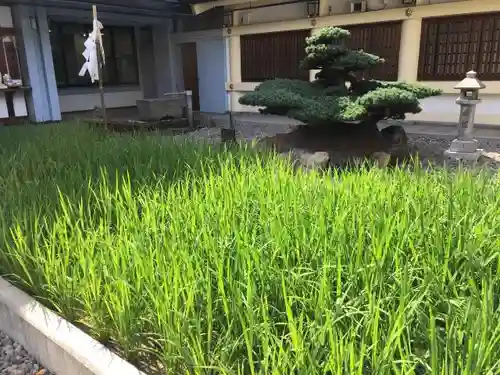 愛知縣護國神社の庭園