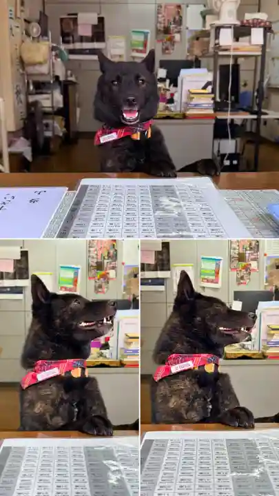 成田山函館別院函館寺の{uncategorized: "未分類", other: "その他", undefined: "問題あり", building: "その他建物", grave: "お墓", sacred_gate: "鳥居", guardian: "狛犬", statue: "像", buddha: "仏像", history: "歴史", nature: "自然", garden: "庭園", animal: "動物", pagoda: "塔", temizu: "手水舎", mountain_gate: "山門・神門", sanctuary: "本殿・本堂", subordinate: "末社・摂社", art: "芸術", scenery: "景色", jizo: "地蔵", ema: "絵馬", goshuin: "御朱印", omikuji: "おみくじ", items: "授与品その他", amulet: "お守り", goshuincho: "御朱印帳", eats: "食事", festival: "お祭り", votive_dance: "神楽", shichigosan: "七五三参", wedding: "結婚式", experience: "体験その他", initially: "初詣", around: "周辺", anti_infection: "感染症対策"}