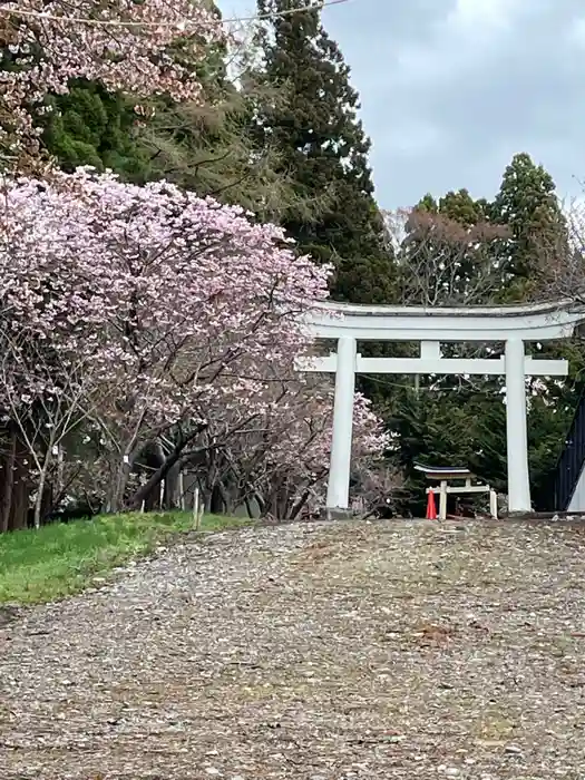 矢不来天満宮の鳥居