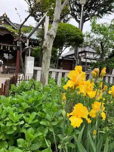 白山神社(東京都)