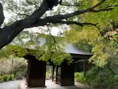 普門寺(切り絵御朱印発祥の寺)(愛知県)