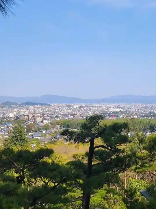 常寂光寺(京都府)