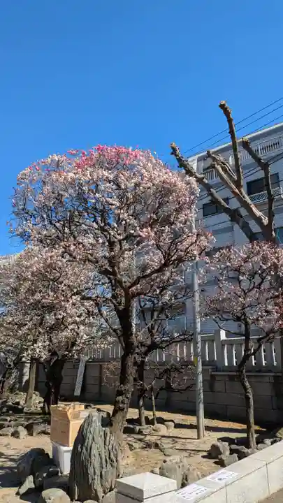 北野神社(東京都)