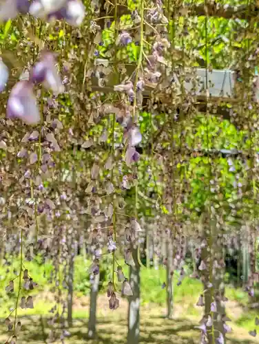 志那神社(滋賀県)