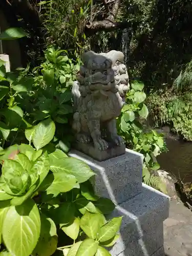 銭洗弁財天宇賀福神社の狛犬