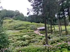 三室戸寺の庭園