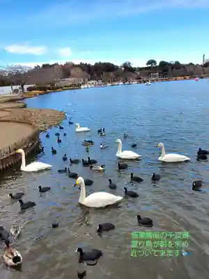 常磐神社(茨城県)