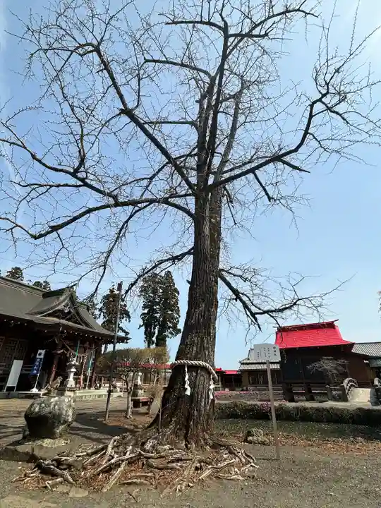 熊野神社(宮城県)