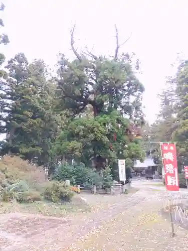 小川温泉神社の建物その他