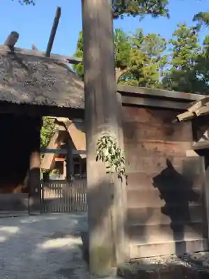 伊勢神宮外宮(豊受大神宮)の本殿・本堂