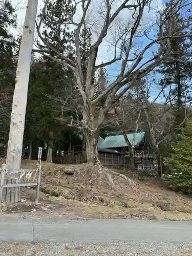 諏訪大社上社前宮(長野県)