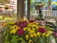 彌彦神社 (伊夜日子神社)の手水舎