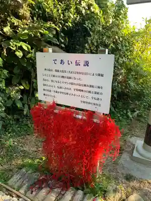 沖ノ島宇賀大明神社(千葉県)